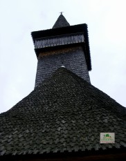 Coas-Biserica monument istoric-11