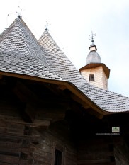 Poienile de Sub Munte-Bis.monument istoric-12