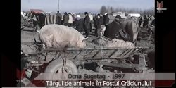 Ocna Sugatag 1997-Targ de animale in Postul Craciunului-foto